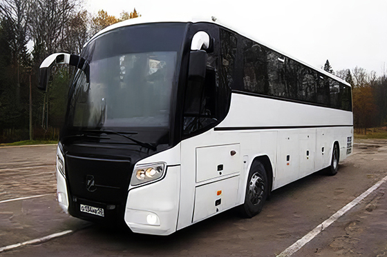 white and black party bus
